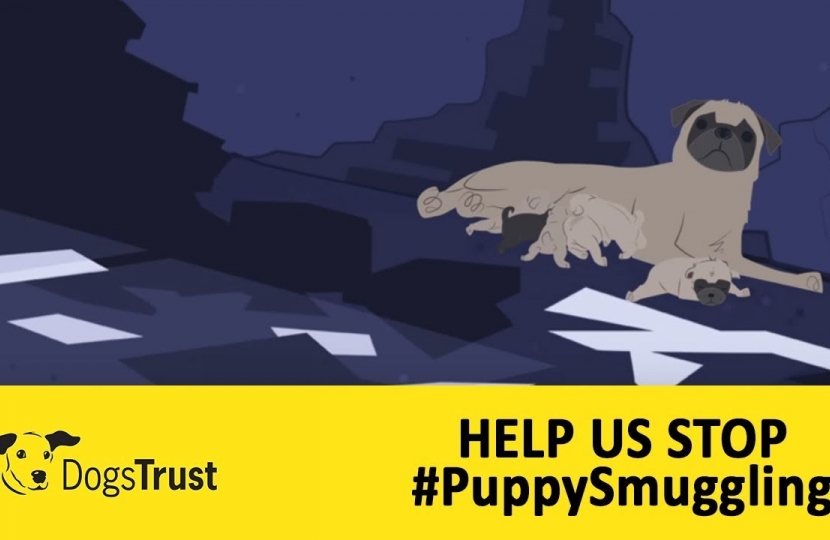 Stop Puppy Smuggling